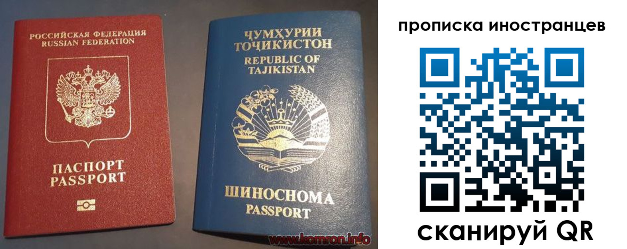 прописка поиск в Ермолино